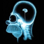 La stupidità - Homer Simpson Cervello