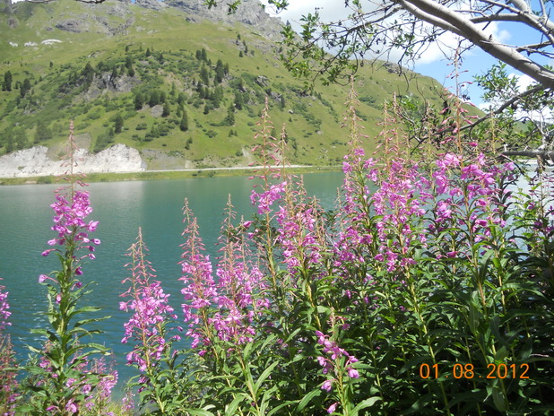 Lago di Fedaia - Passo Fedaia - Trentino Alto Adige - 1 agosto 2012